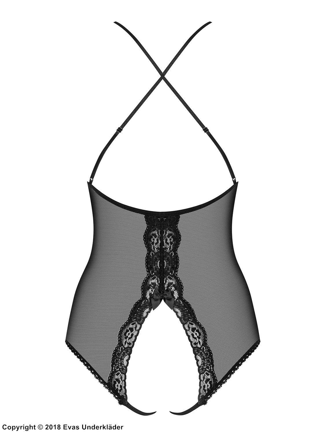 Teddy, sheer mesh, open crotch, lace details